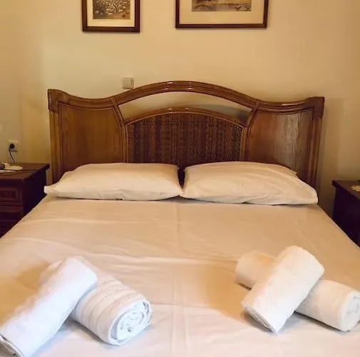 דירה παραδοσιακό αρχοντικό με τζάκι ואלטסיניקו