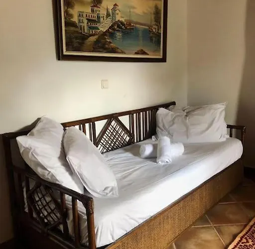 παραδοσιακό αρχοντικό με τζάκι דירה *